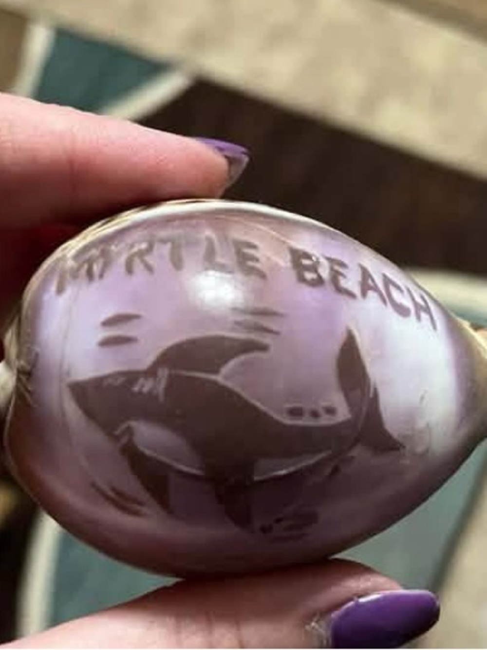 Myrtle Beach Souvenir Decorative Shell - Purple